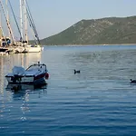 Limani *